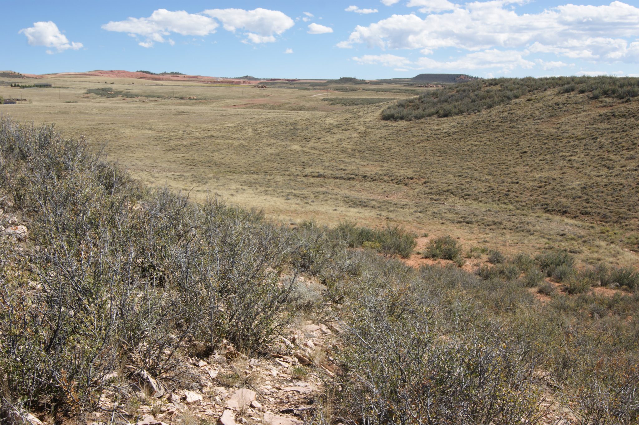 Listings Page 2 Duane Toro Real Estate