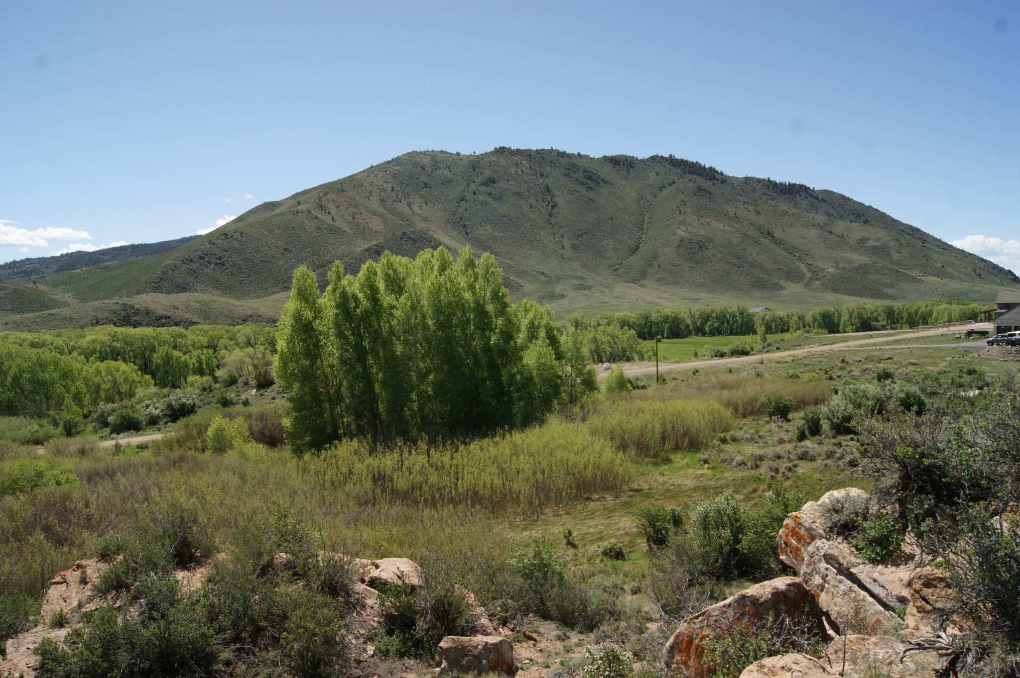 Duane Toro Real Estate