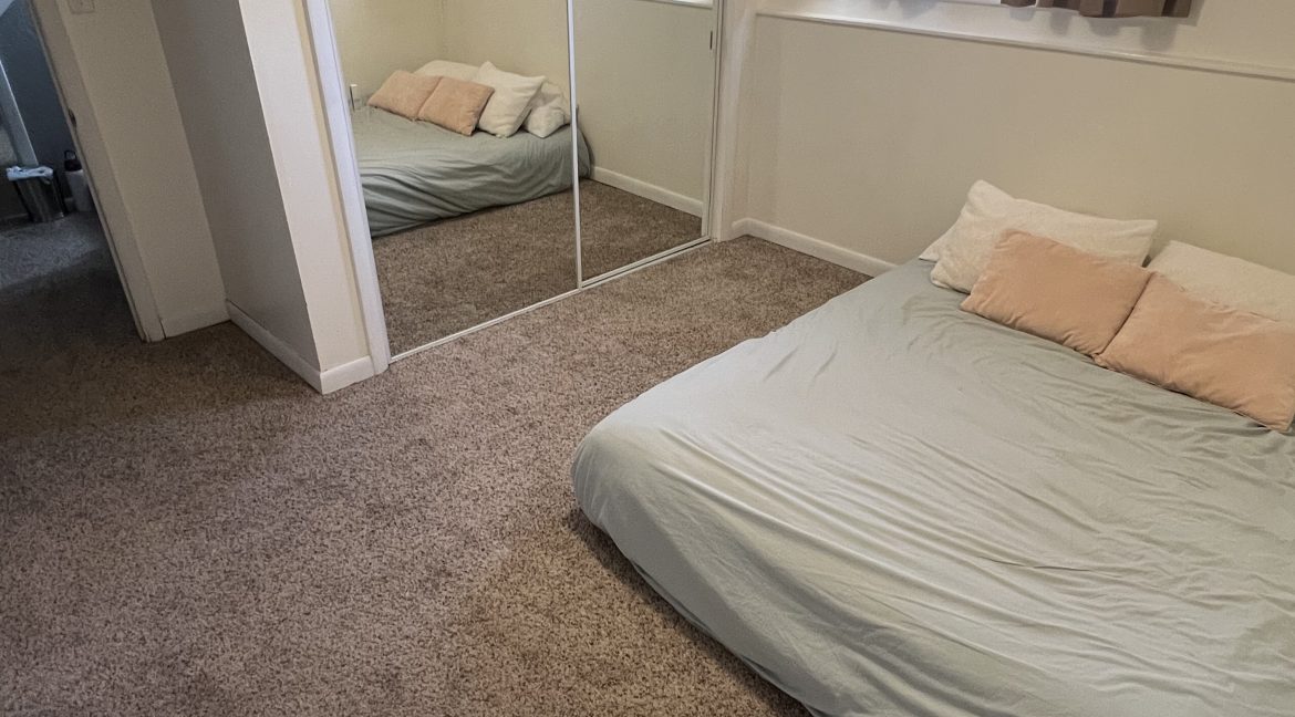 17Downstairs Bedroom1
