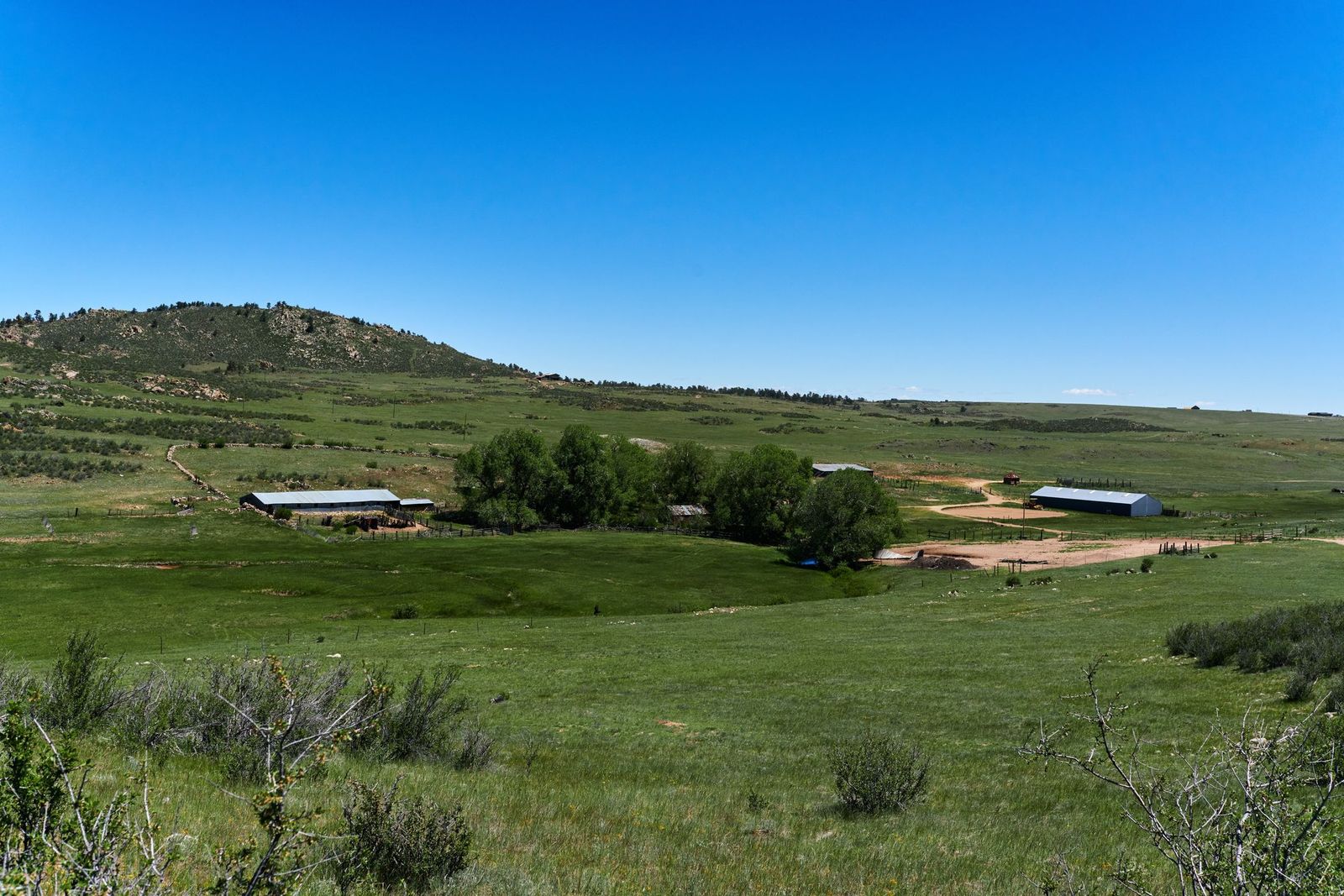 468 HARRIMAN ROAD
