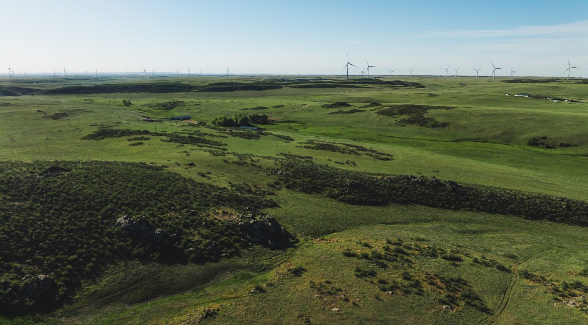 DJI_0646